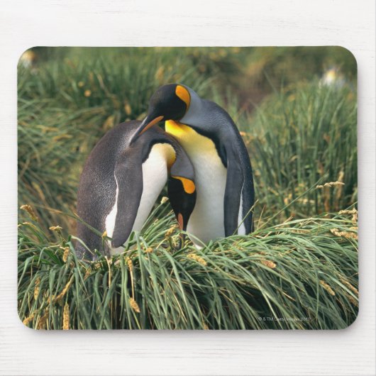 Pinguine Mousepad (Vorne)