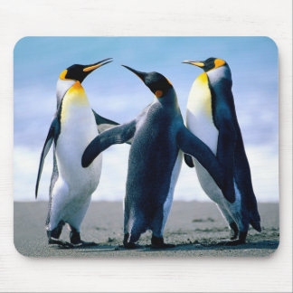 Pinguine Mousepad