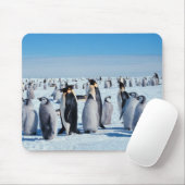 Pinguine Mousepad (Mit Mouse)