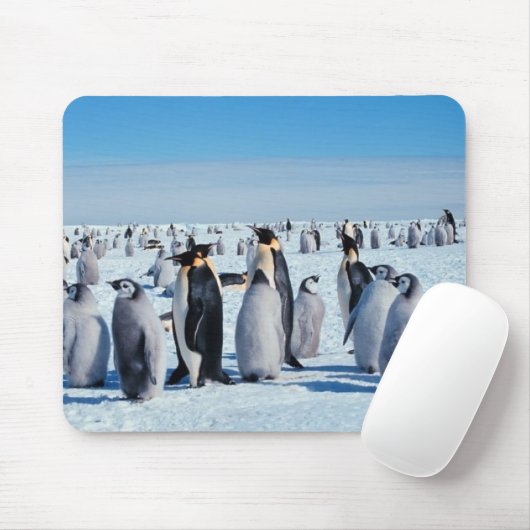 Pinguine Mousepad (Mit Mouse)