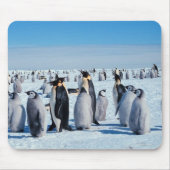Pinguine Mousepad (Vorne)