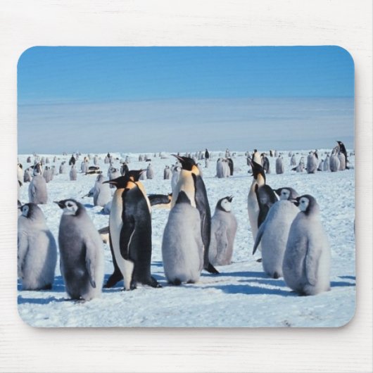 Pinguine Mousepad (Vorne)