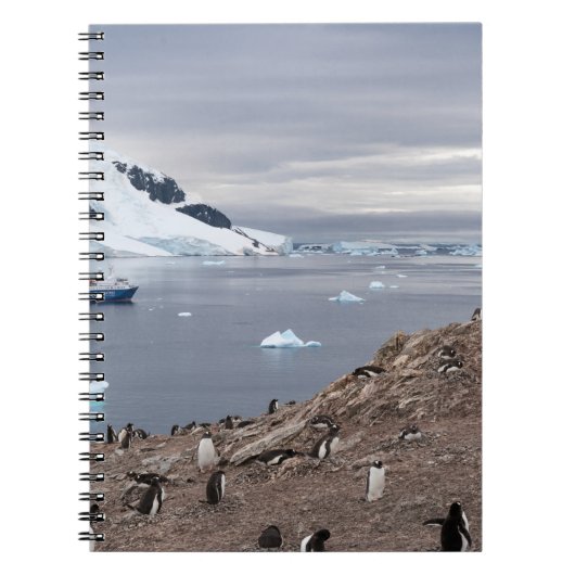 PINGUINE NEBEN MEER NOTIZBLOCK (Vorderseite)