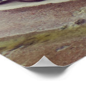 Pinguine Poster (Ecke)