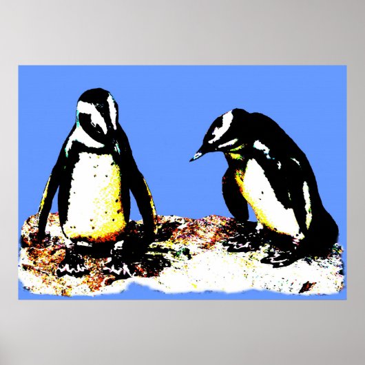 Pinguine Poster (Vorne)