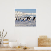 Pinguine Poster (Küche)
