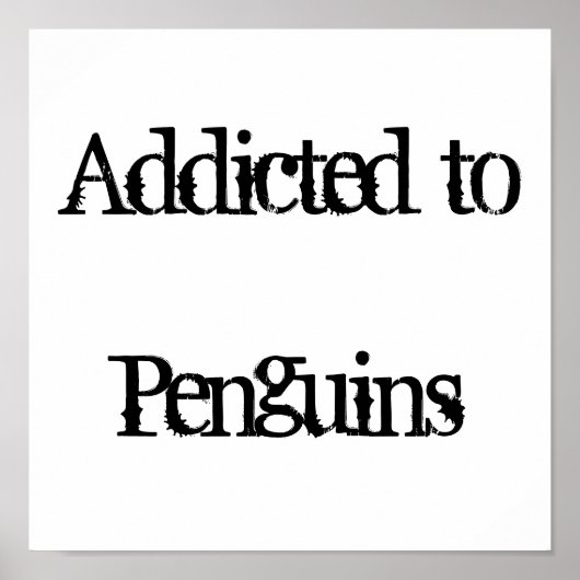Pinguine Poster (Vorne)