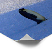 Pinguine Poster (Ecke)