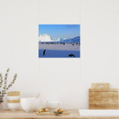 Pinguine Poster (Küche)