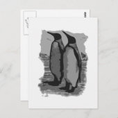 Pinguine Postkarte (Vorne/Hinten)