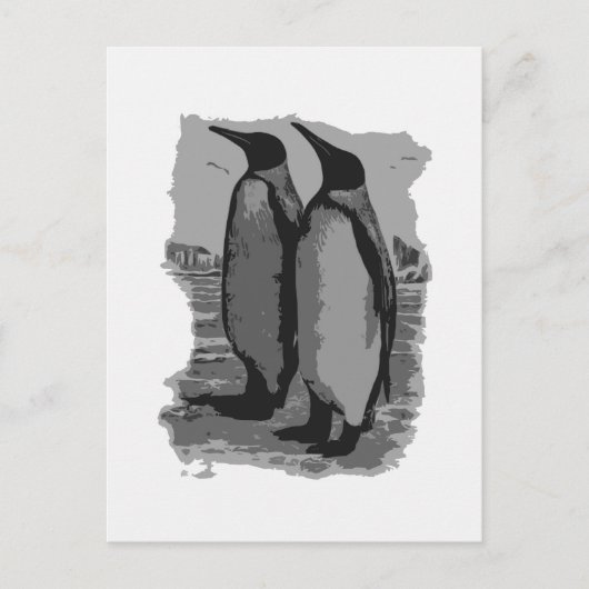 Pinguine Postkarte (Vorderseite)
