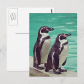 Pinguine Postkarte (Vorne/Hinten)