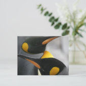 Pinguine Postkarte (Stehend Vorderseite)