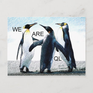 Pinguine Postkarte