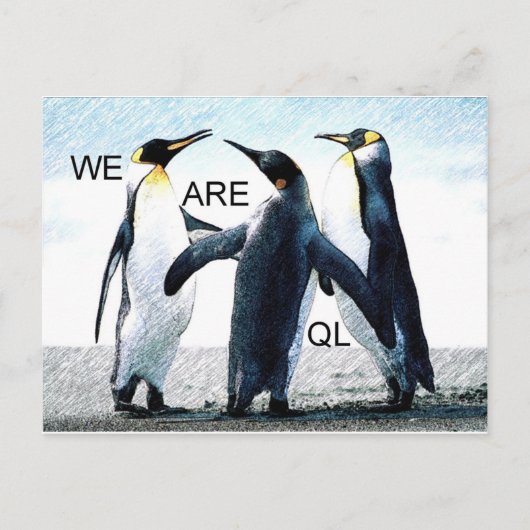 Pinguine Postkarte (Vorderseite)