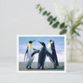 Pinguine Postkarte (Stehend Vorderseite)