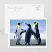 Pinguine Postkarte (Vorne/Hinten)