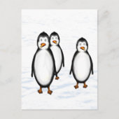 Pinguine Postkarte (Vorderseite)