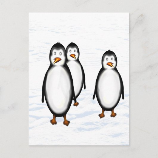 Pinguine Postkarte (Vorderseite)