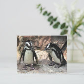 Pinguine Postkarte (Stehend Vorderseite)