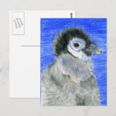 Pinguine Postkarte (Vorne/Hinten)