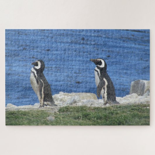 Pinguine Puzzle (Horizontal)