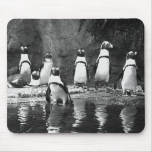 Pinguine reichlich mousepad