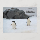 Pinguine Sally Cove Horseshoe Island Antarktis Postkarte (Vorderseite)