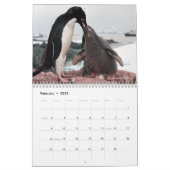 Pinguine sind Cool Calendar 2025 mit Beschreibunge Kalender (Feb 2025)