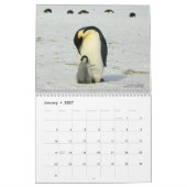 Pinguine sind Cool Calendar 2025 mit Beschreibunge Kalender (Jan 2027)