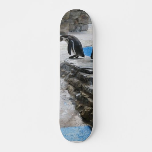 Pinguine Skateboard (Vorne)