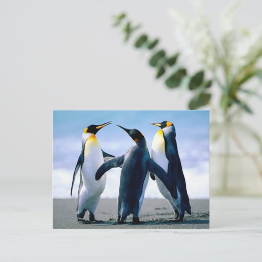 Pinguine spielen postkarte (Stehend Vorderseite)
