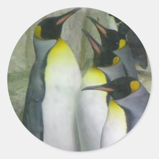Pinguine, Sticker (Vorderseite)