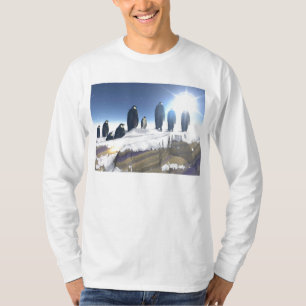Pinguine T-Shirt