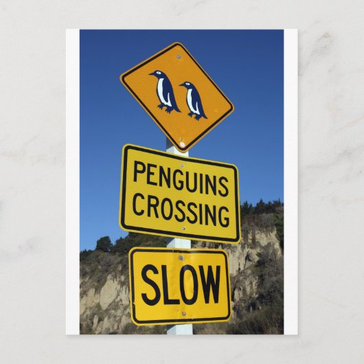 Pinguine überqueren gelbes Straßenschild Postkarte (Vorderseite)