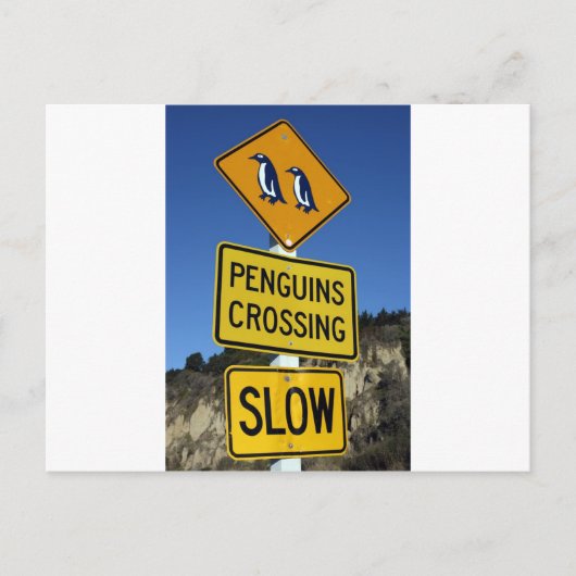 Pinguine überqueren gelbes Straßenschild Postkarte (Vorderseite)