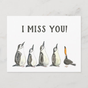 Pinguine und ein Toucan Niedlich Ich vermisse Sie  Postkarte