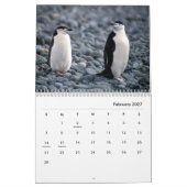Pinguine Wall Calendar Kalender (Feb 2027)