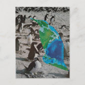 Pinguine Wildtier Collage Postkarte (Vorderseite)