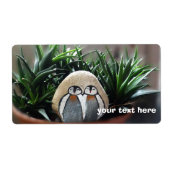 Pinguine Zeichnend Fotos (Vorne)