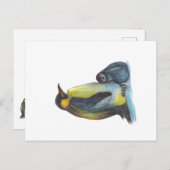 Pinguine Zeichnend Postkarten (Vorne/Hinten)