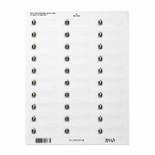 Pinguinfamilie (Vorne)