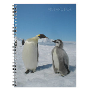 Pinguinfamilie Notizblock