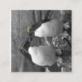 Pinguinfarbexplosion Begleitkarte (Rückseite)
