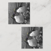 Pinguinfarbexplosion Begleitkarte (Vorne/Hinten)
