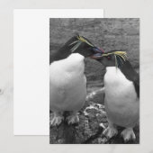 Pinguinfarbexplosion Einladung (Vorne/Hinten)