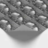 Pinguinfarbexplosion Geschenkpapier (Ecke)