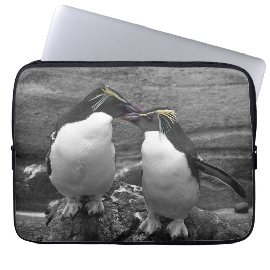 Pinguinfarbexplosion Laptopschutzhülle (Vorderseite)