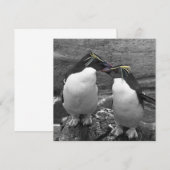 Pinguinfarbexplosion Save The Date (Vorne/Hinten)