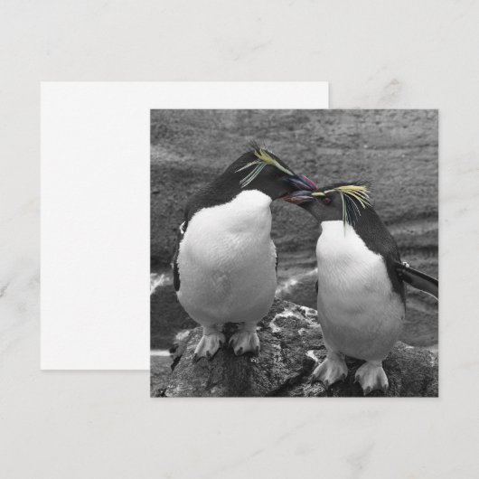 Pinguinfarbexplosion Save The Date (Vorne/Hinten)